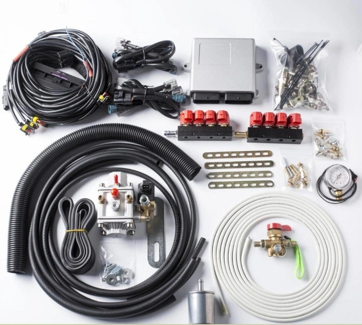 Act Automotive Petrol Convert to CNG LPG Gas Conversion Kits for Petrol Engine Car Sequential CNG Conversion Kit 4 Cylinder