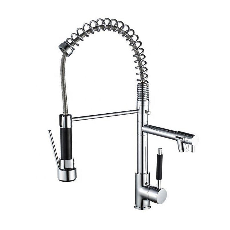 New Designers 304 Stainless Steel Spring Spray Fashion Pull Down Kitchen Faucet