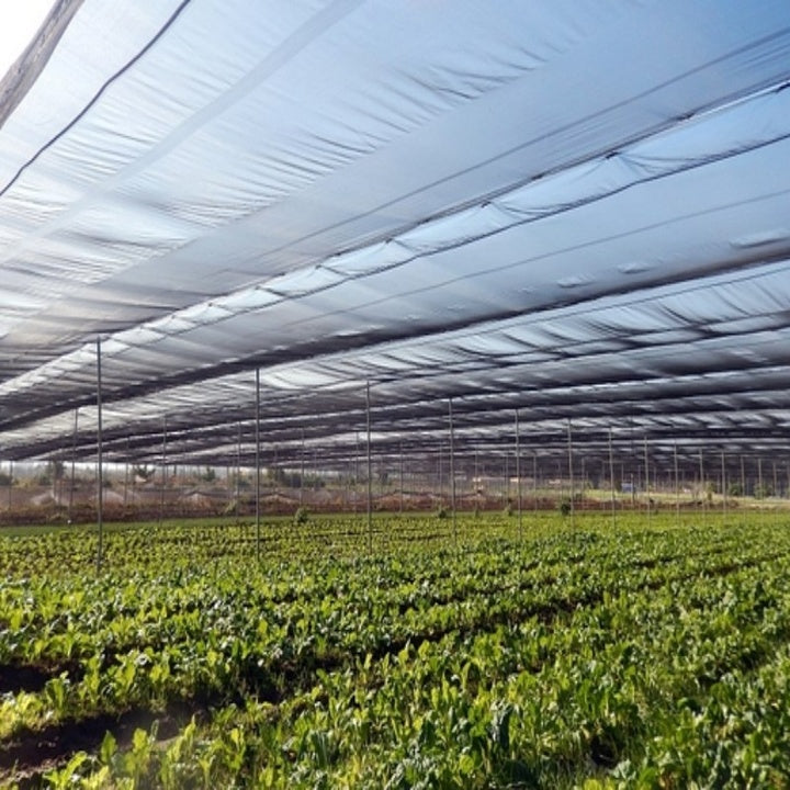 Factory Supplier HDPE Plastic +UV Treated Agriculture Farming Roof Garden Outdoor Green Fence Sun Protection Shade Net