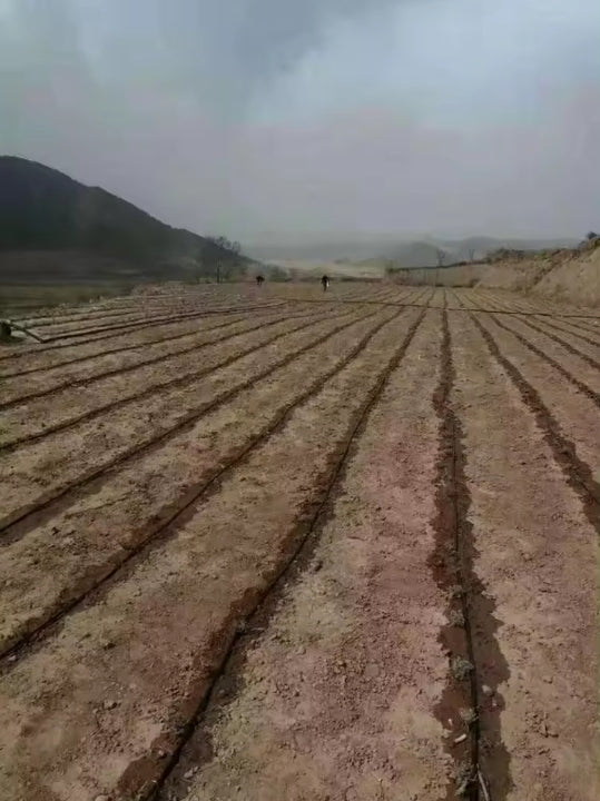 1Ha 2Ha 5Ha 10Ha Drip Irrigation System Irrigation Design Complete Kit Farm Automatic Drip Irrigation Systems